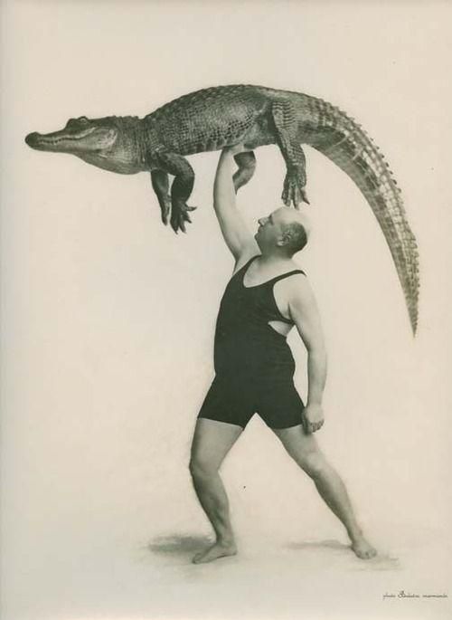 A stout man holds a full-grown crocodile aloft. he is a circus or sideshow performer.